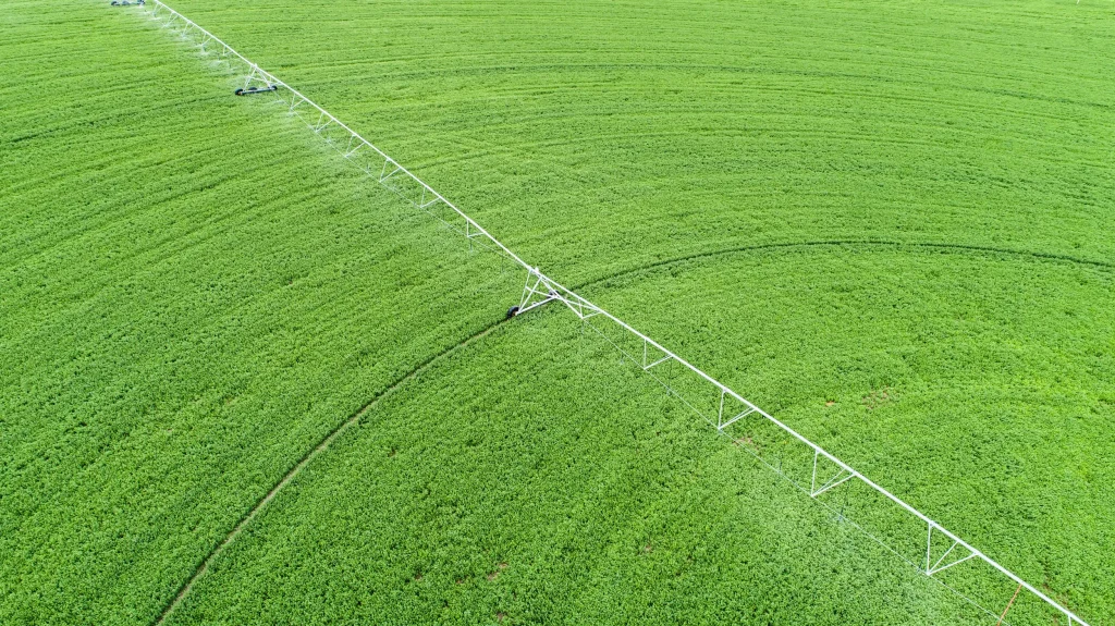 acco 2025 green field crops watered aerial view