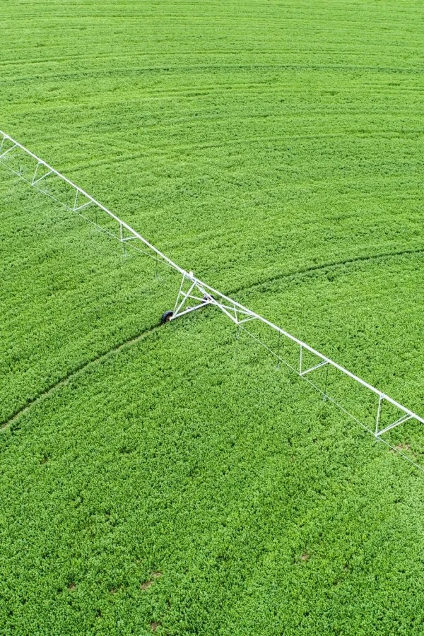 acco 2025 green field crops watered aerial view