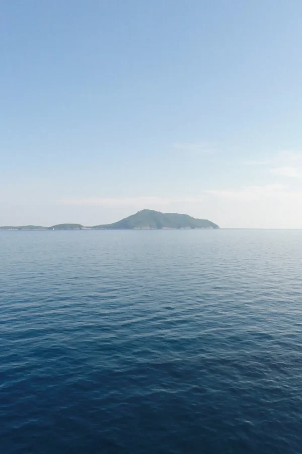 acco 2025 yacht sailing open sea background