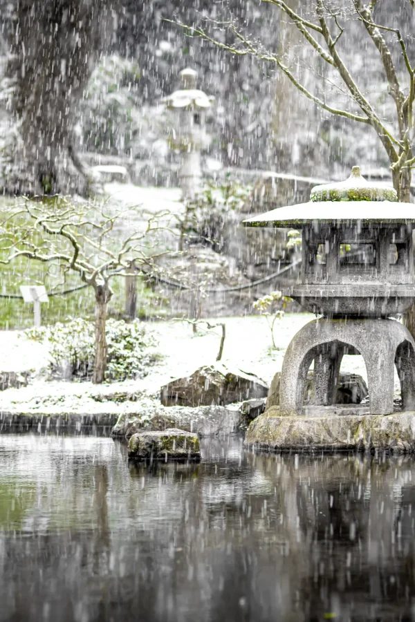 acco 2025 japanese shrine snow falling