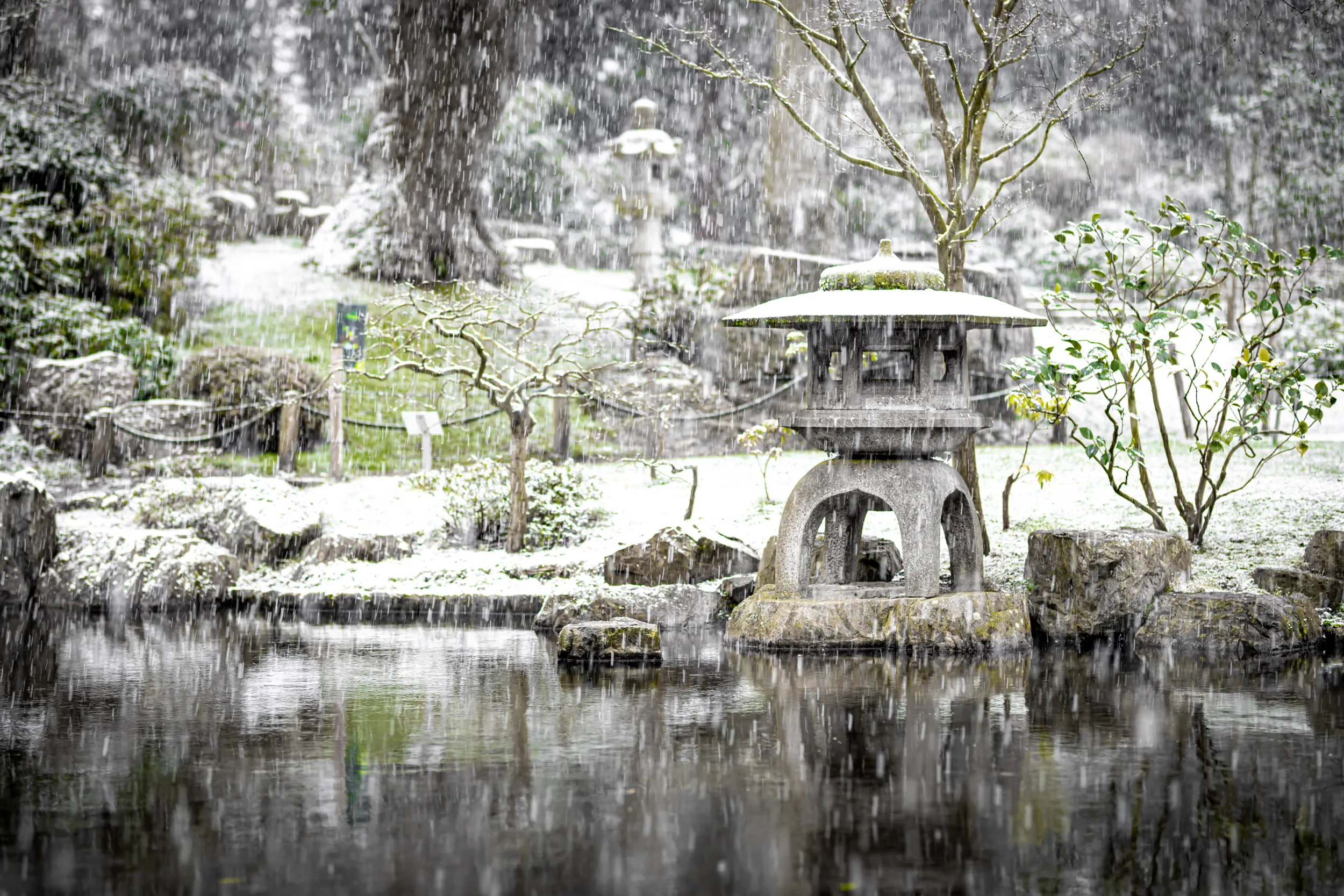 acco 2025 japanese shrine snow falling