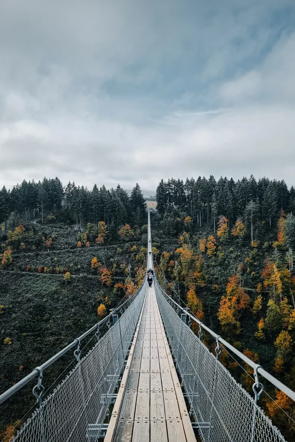 acco 2025 long bridge crossing view