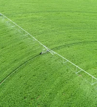 acco 2025 green field crops watered aerial view