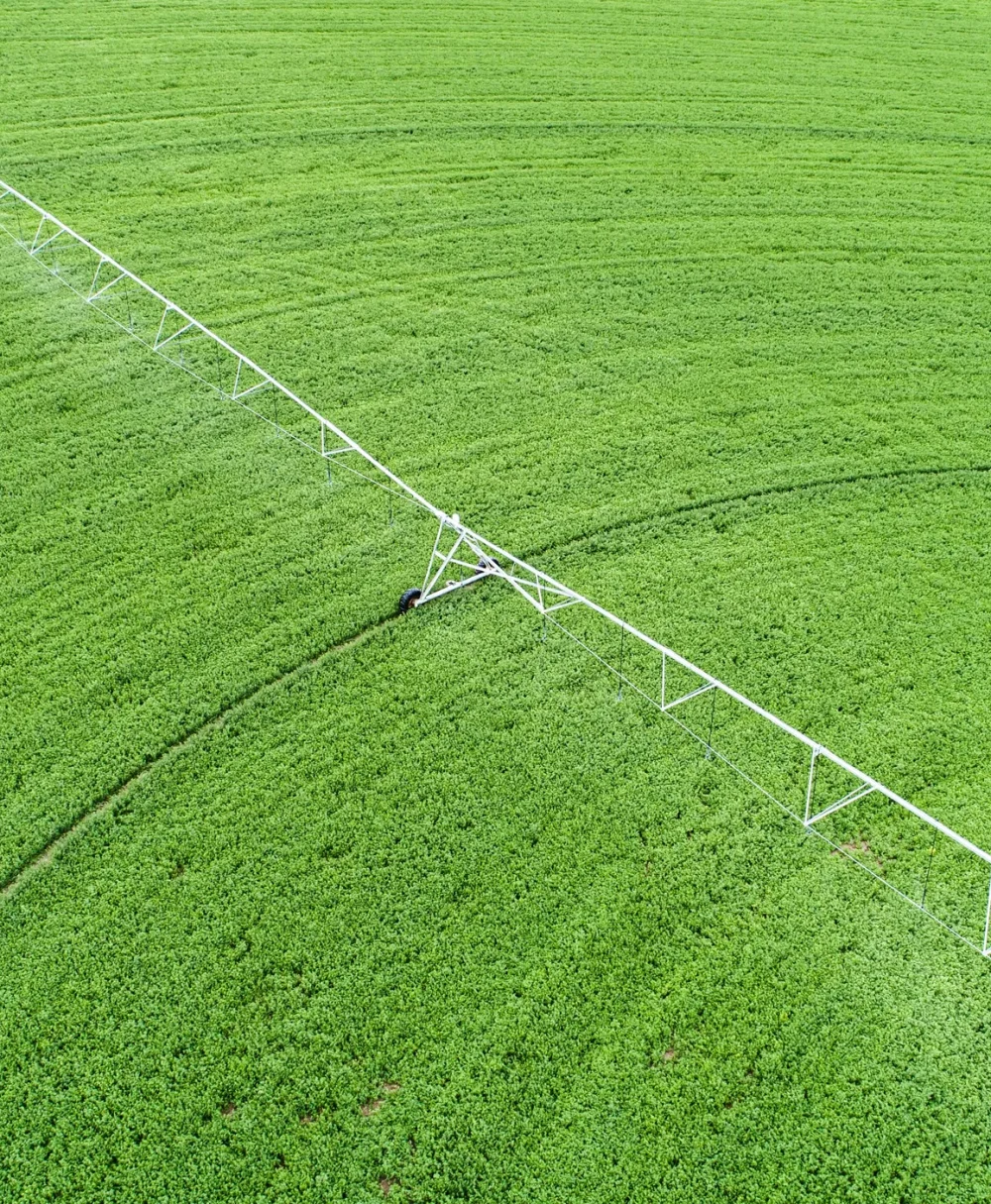 acco 2025 green field crops watered aerial view