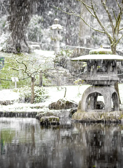 acco 2025 japanese shrine snow falling